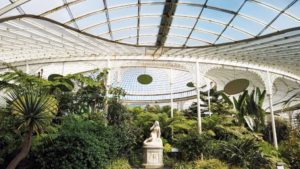 Inside The Glasgow Botanical Gardens